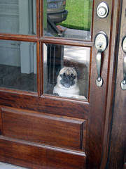 norman at the door
