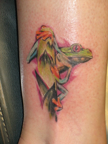 Size:500x375 - 34k: Red Eye Tree Frog Tattoos