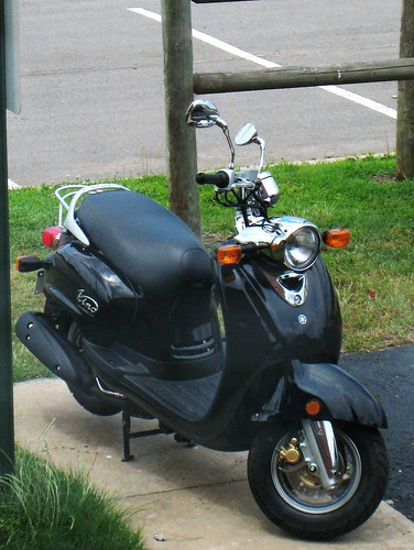 The New Scooter