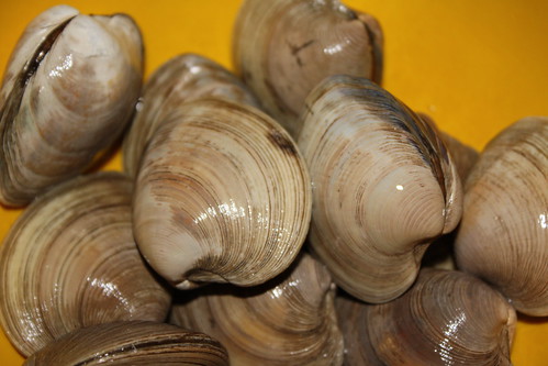 Have Littleneck Clams at the Chincoteague Seafood Festival
