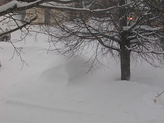major snow storm of March 8, 2008