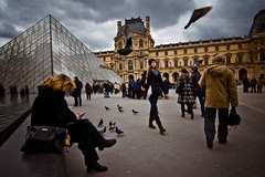 Louvre birds