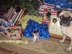 norman checking out presents