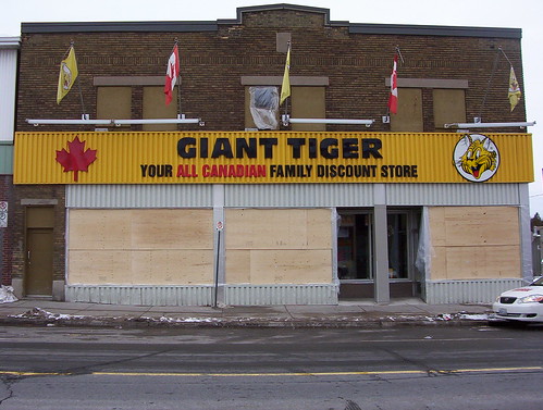 Alas, the Giant Tiger!