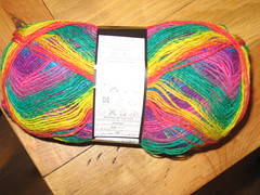 Noro Sock Yarn 1