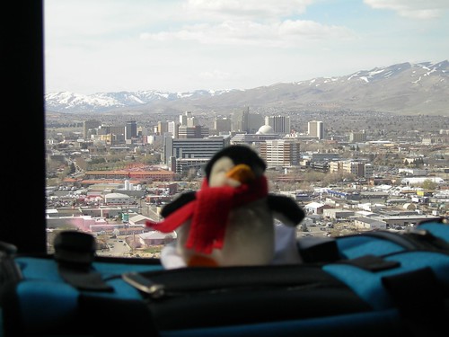 2008-04-02 Penguin in Reno (2)