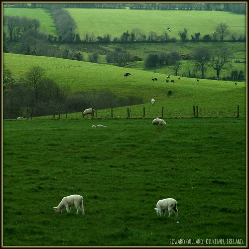 GOD'S GREEN COUNTRY. KILKENNY, IRELAND. ( Apr 6, 2008 #266 EXPLORE ) by Edward Dullard.