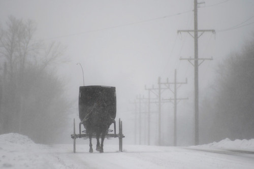 Amish Buggy in a Snowstorm