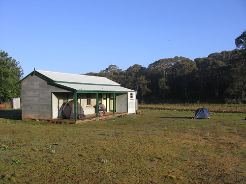 Bracken hut