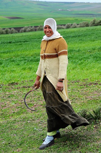 Girl with sickle in the Moroccan fields