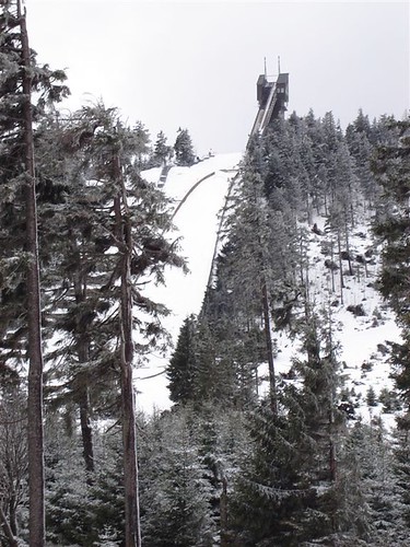 Ski Jump through the Trees