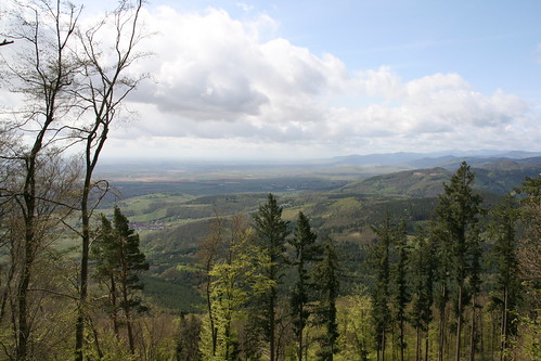 View from Kintzheim Castle