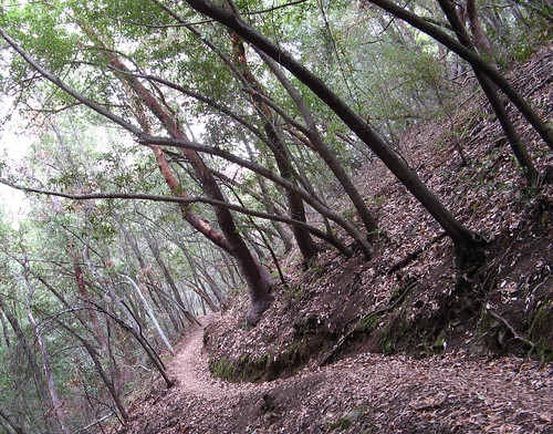 Countour Trail