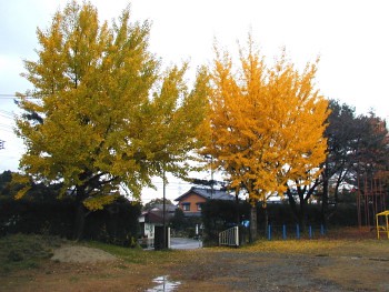 Ecole primaire de Tsuchizawa en automne