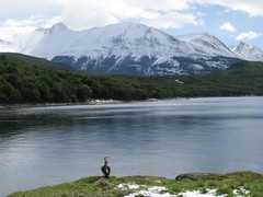 P.N. Tierra del Fuego