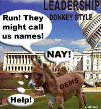 Leadership Democratic Donkeys