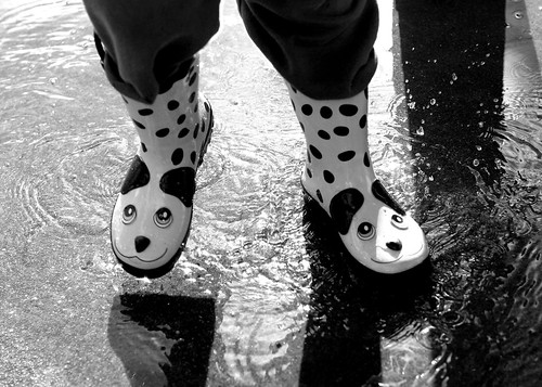 Dalmatian Boots