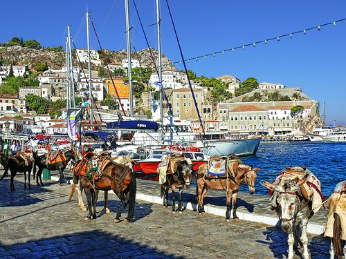 Donkeys at Hydra Harbour