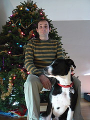 Hugo, Clover, and our big-ass Christmas tree