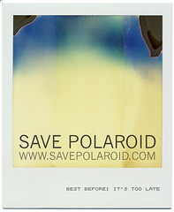 save polaroid