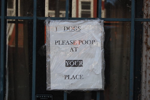 Please Poop