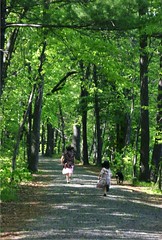 Girls Running on Trail at William O'Brien State Park - Homeschool Phy Ed