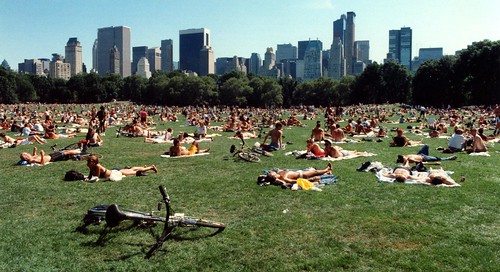 sunbathers in central park ny. USA - New York - Central Park