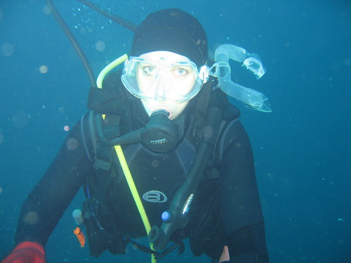 Diving at Gordon's Rocks