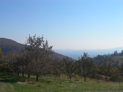 View from Blue Ridge Mountain