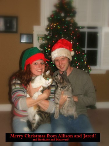This was Supposed to be my Christmas Card.