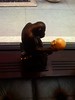 monkey at the library hotel lobby