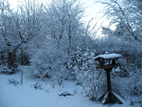 Snedækket have, Danmark vinter marts 2008