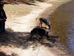 Ian and Tana at the Shark River Park pond