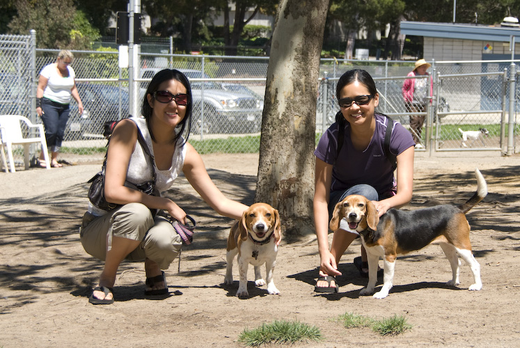 Lee's with the Beagles