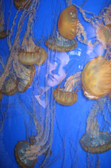 Accidental portrait with jellies