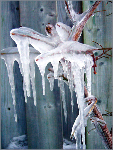 wallpaper desktop nature winter. Tag : Nature Wallpaper