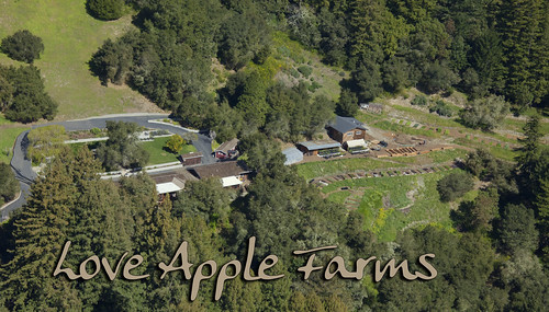 Aerial shot of Love Apple Farm, Feb 2011