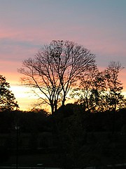 Post-storm sunset