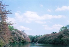 Inokashira park