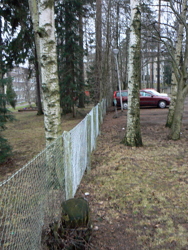 Oulunkylä tammikuussa 2008