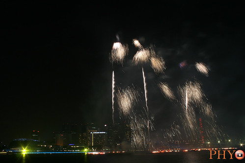 Fireworks @ Marina Bay 4