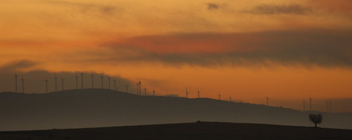 Windfarm_Spain