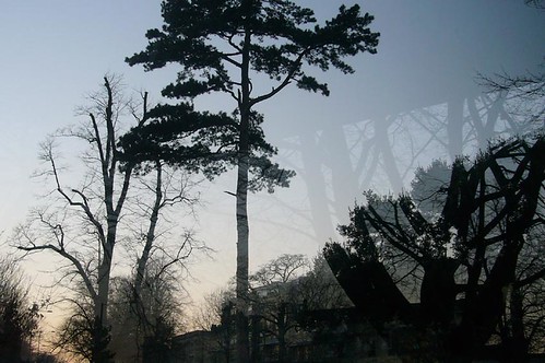 Kirsty Hall: Photograph of trees reflected in a bus stop during a clear winter sunset