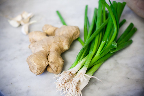 Chicken Ginger and Spring Onions-4.jpg
