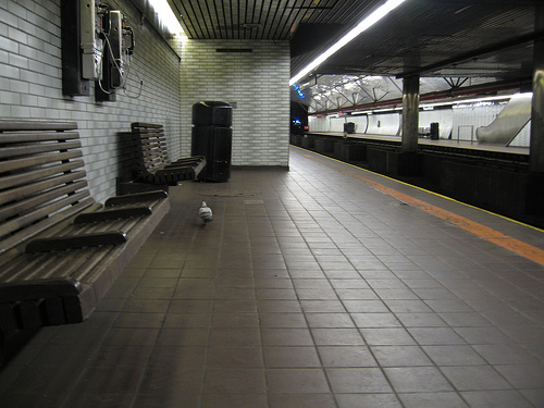 Subway pigeon_da mad pixelist