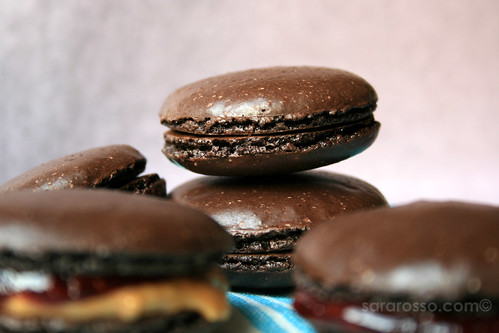  Chocolate Macaron recipe, except I didn't double the sugar added to the 
