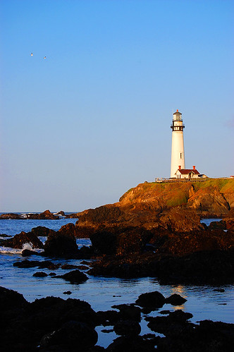 Pigeon Point Lighthouse in the Morning Light