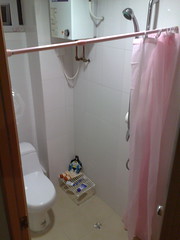 Toilet and shower in one!