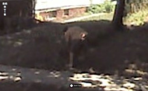 Yeah, that's my ass on Google Street view.