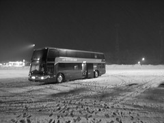 Midnight Bus